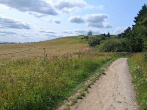 6. Condor Modellbaubörse 2025 @ Aula der Josefschule